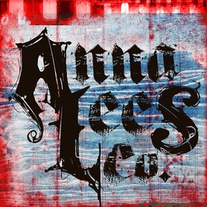 Team Page: Anna Lee's Co.